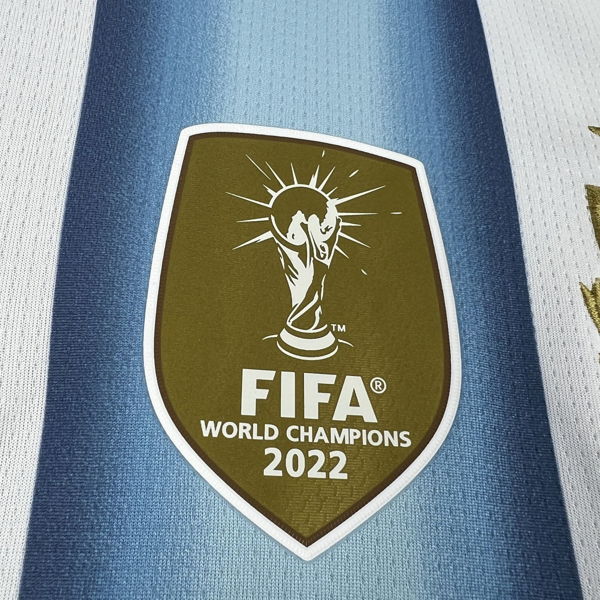 Maillot Domicile Argentine Coupe du Monde 2026 Version Fan