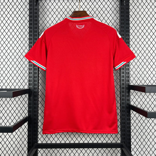 2026 Maillot Domicile Pays de Galles Coupe du Monde Version Fan