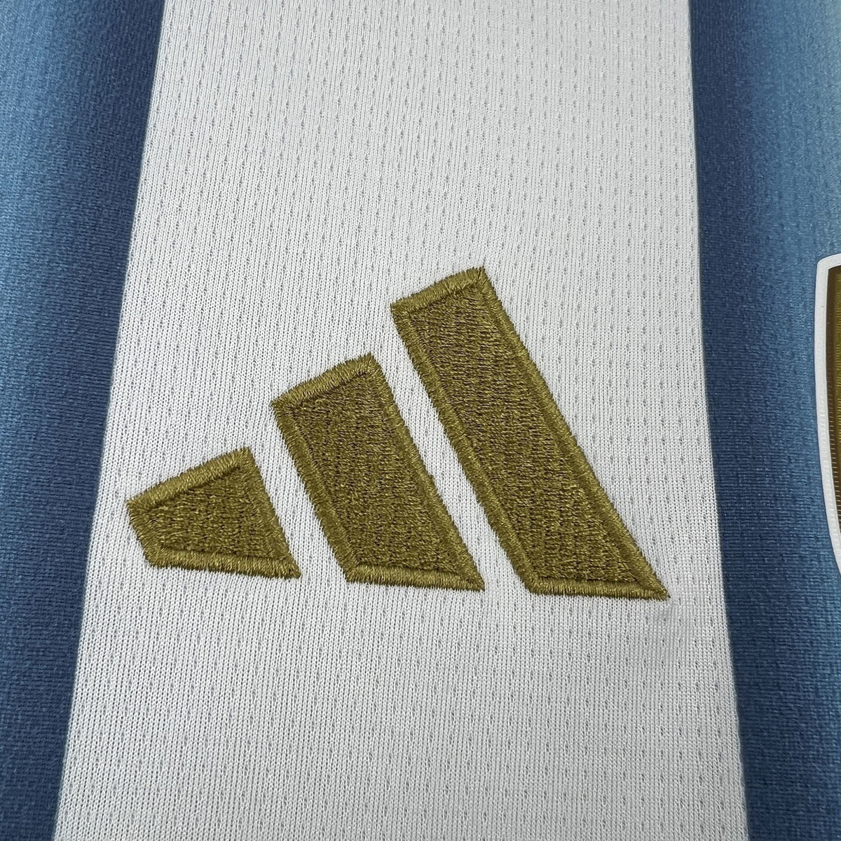 Maillot Domicile Argentine Coupe du Monde 2026 Version Fan