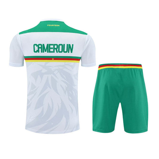 Jeu de données d'entraînement du Cameroun