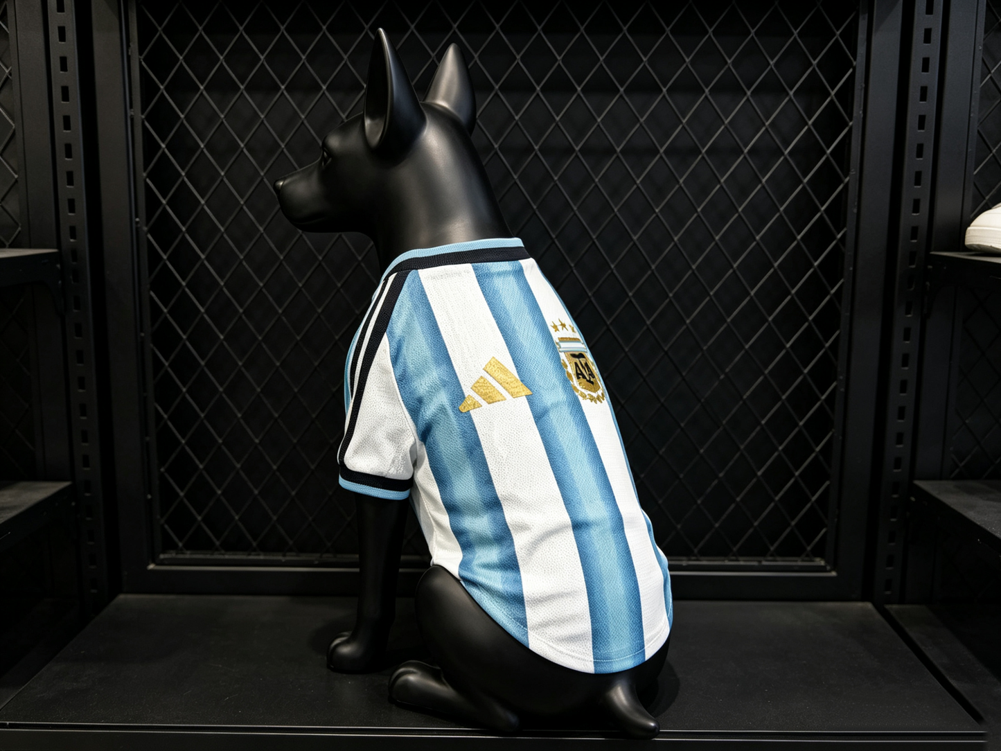 Maillot pour animaux de compagnie Argentine Domicile 2026
