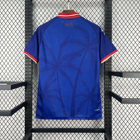 Maillot Coupe du Monde 2026 Haïti Domicile Version Fan