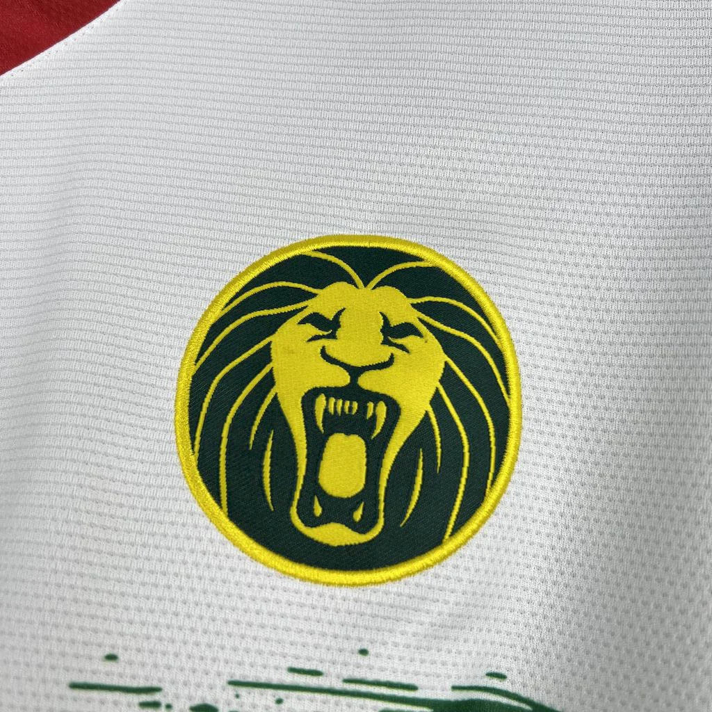 2025-2026 Cameroon Third Kit
