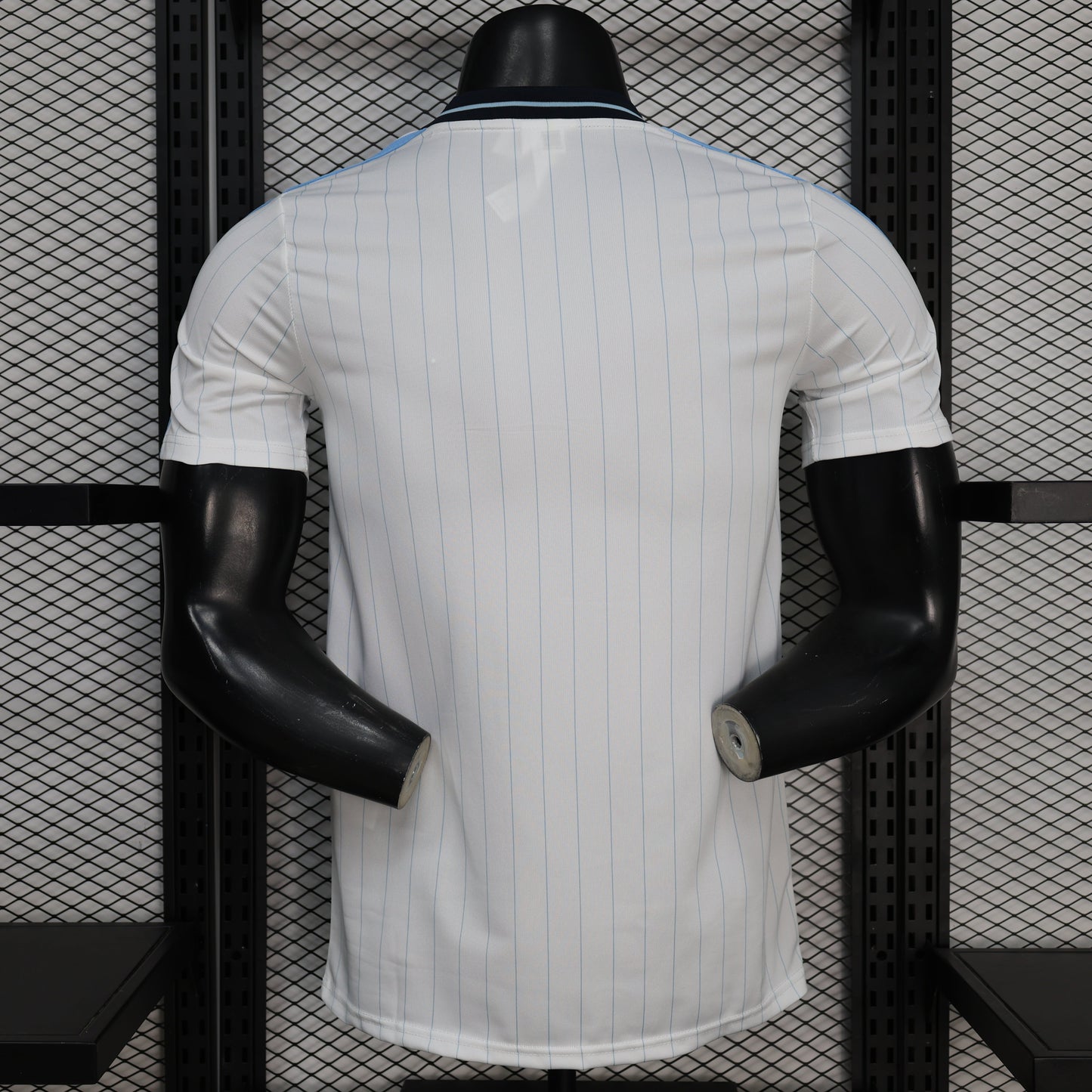2026 Argentina Retro Casual Jersey
