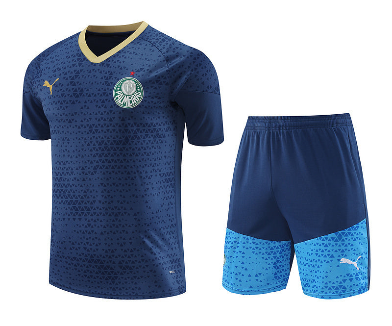 Ensemble d'entraînement Palmeiras