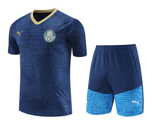 Ensemble d'entraînement Palmeiras