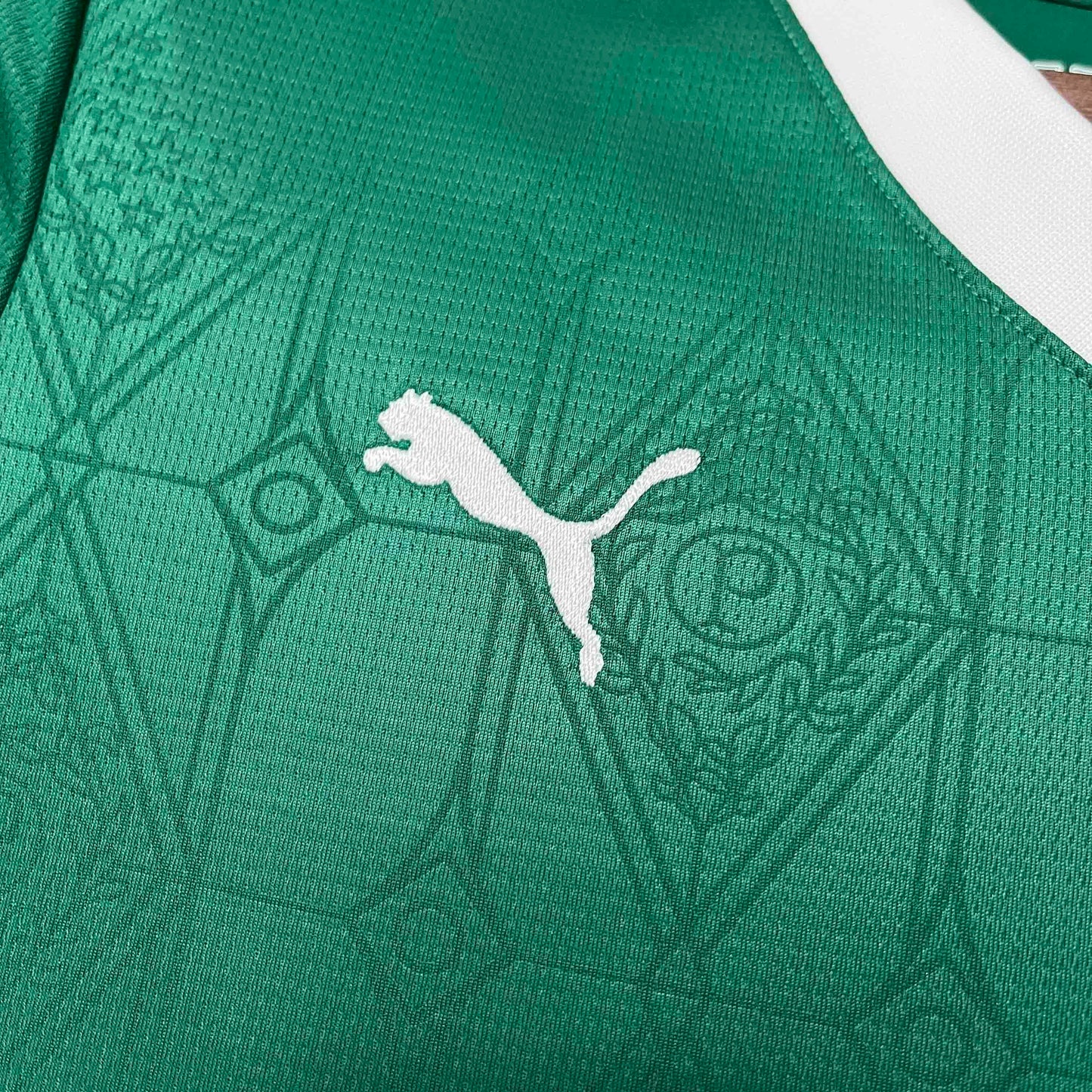 2025/2026 Palmeiras Home Donna