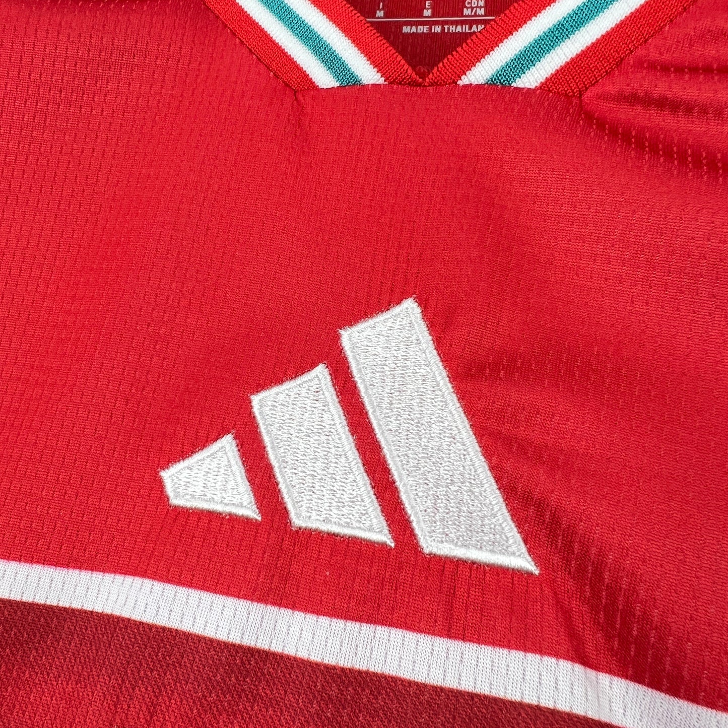 Versione tifoso divisa Galles Home Coppa del Mondo 2026