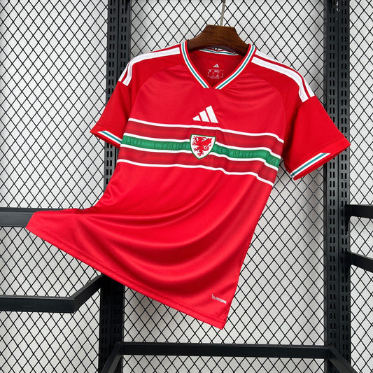 2026 Maillot Domicile Pays de Galles Coupe du Monde Version Fan