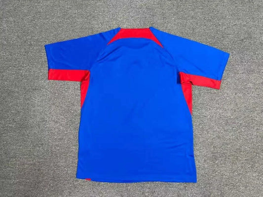 Divisa Home Slovacchia 2024
