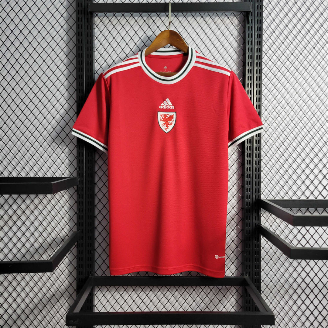 2022 Wales Home Kit