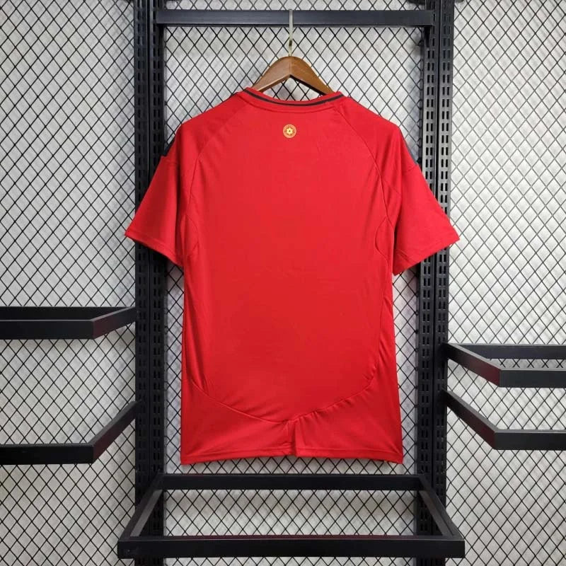 2024 Wales Home Kit