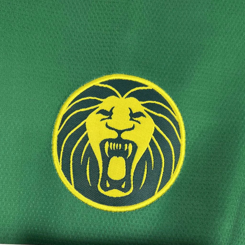 2025-2026 Cameroon Home Kit