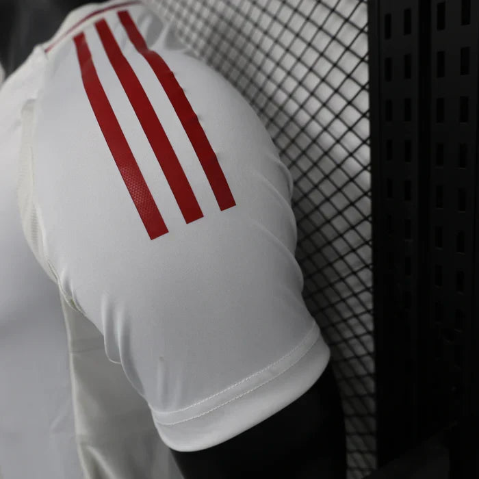 Japan 2024/2025 Away Kit