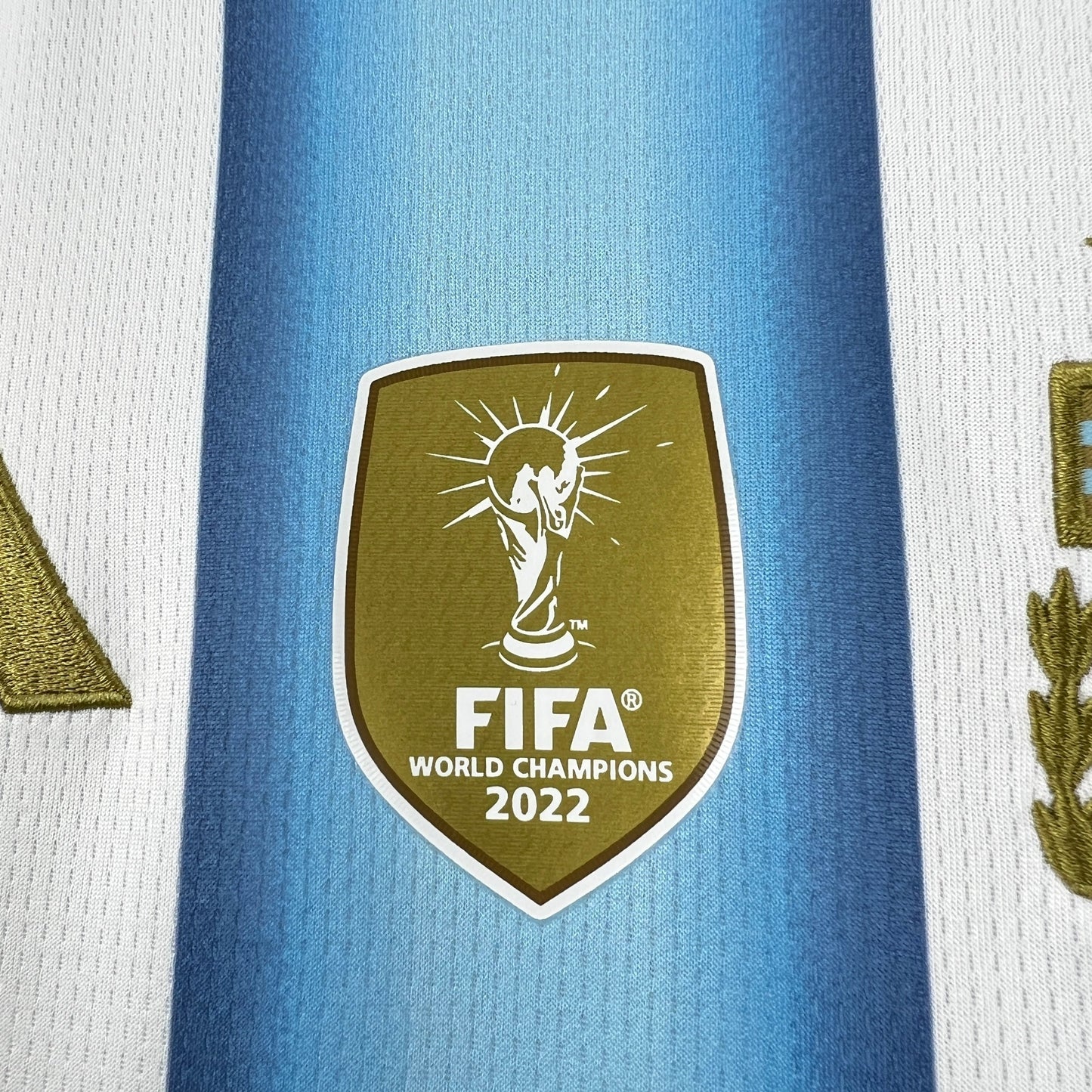 2026 Argentina Home Coppa del Mondo femminile