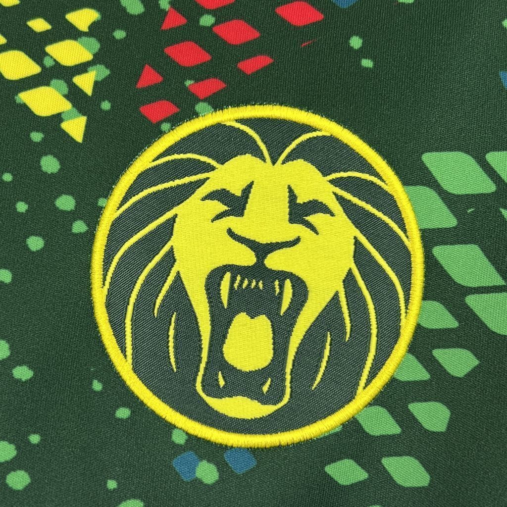 Divisa Home Camerun 2026