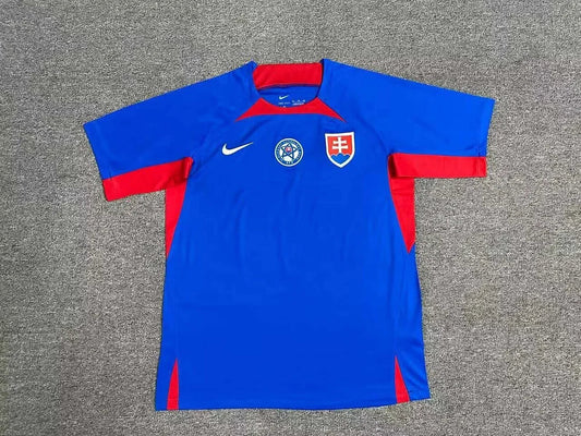 Divisa Home Slovacchia 2024