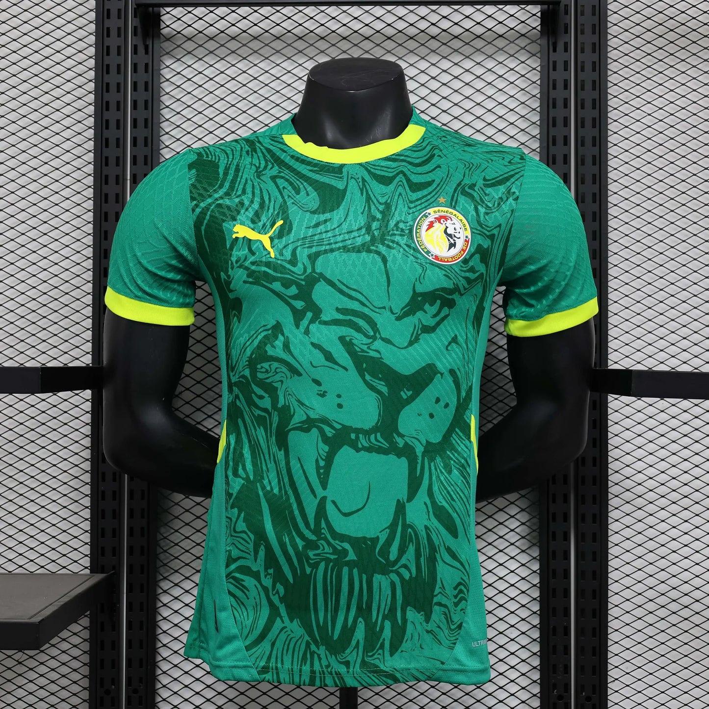 2024/2025 Senegal Away Kit