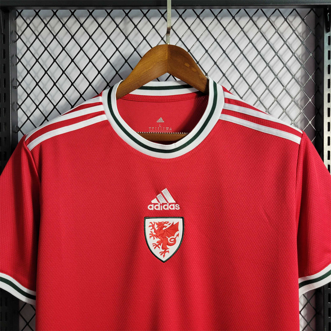 2022 Wales Home Kit