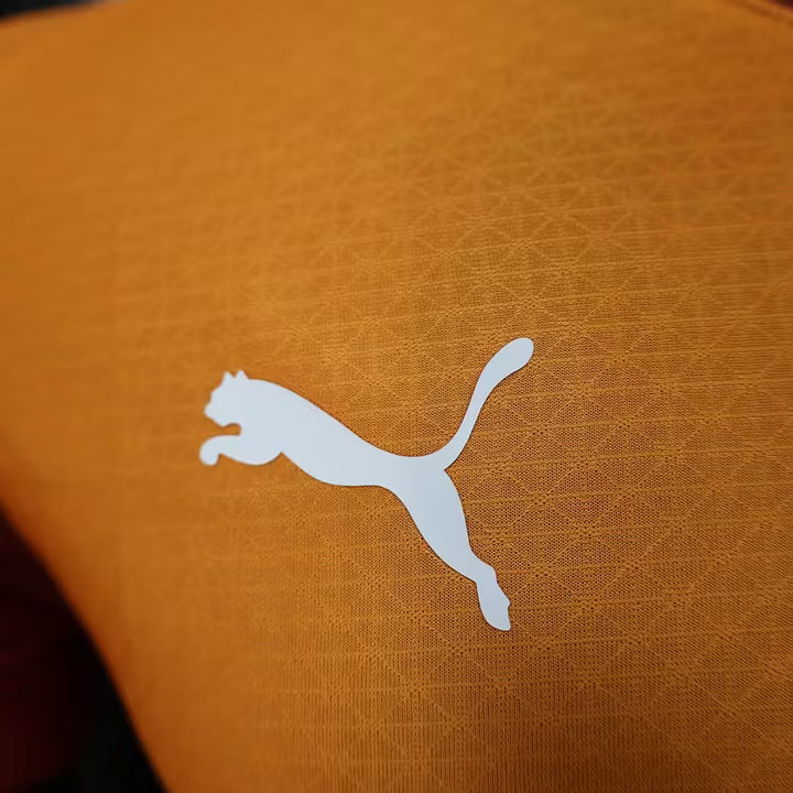 2025/2026 Galatasaray Home Kit