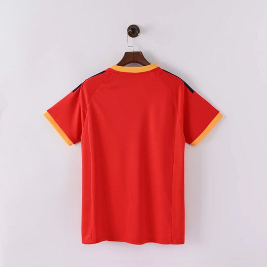 Maillot domicile Espagne rétro 2002