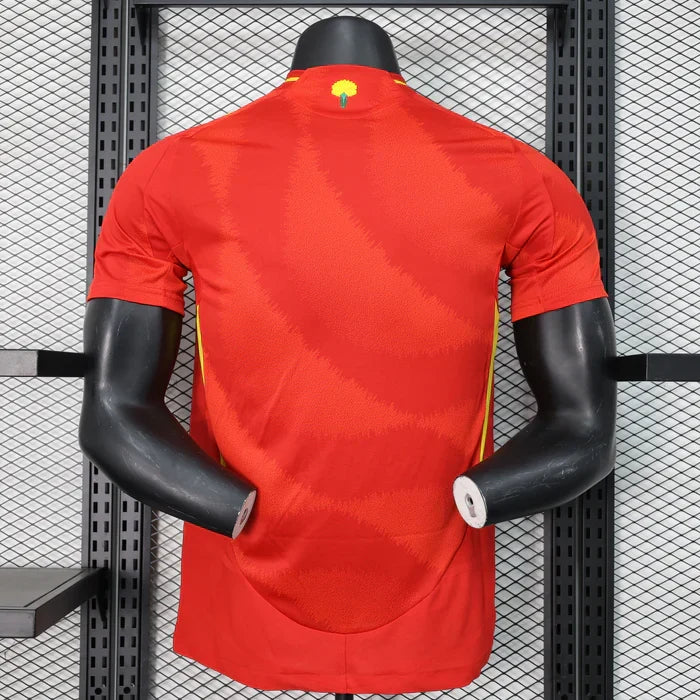 Kit casa Spagna 2024/2025