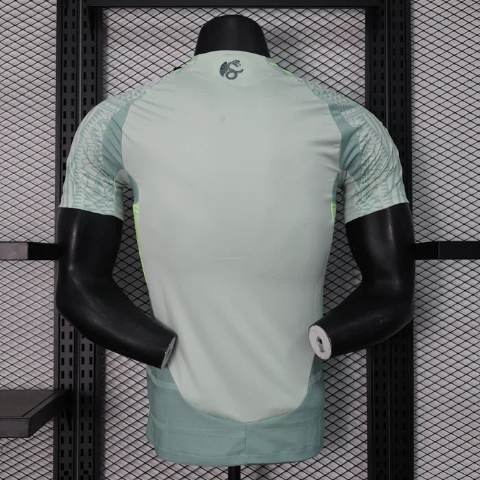 Mexico 2024/2025 Away Kit