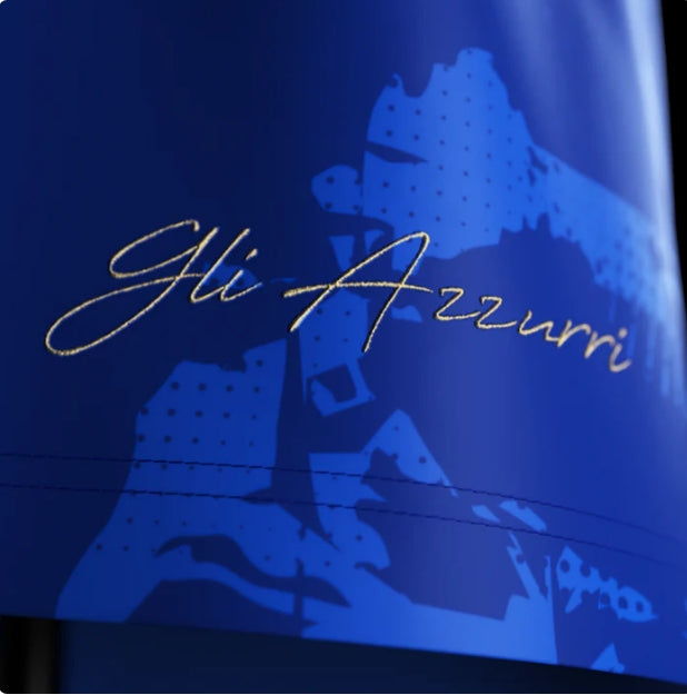 Maillot en édition limitée Italie « Gli Azzurri »