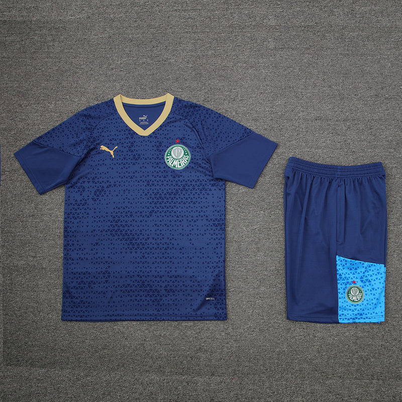 Ensemble d'entraînement Palmeiras