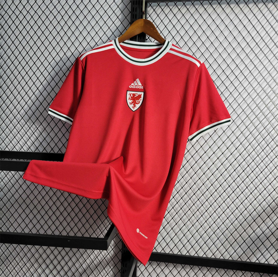 2022 Wales Home Kit