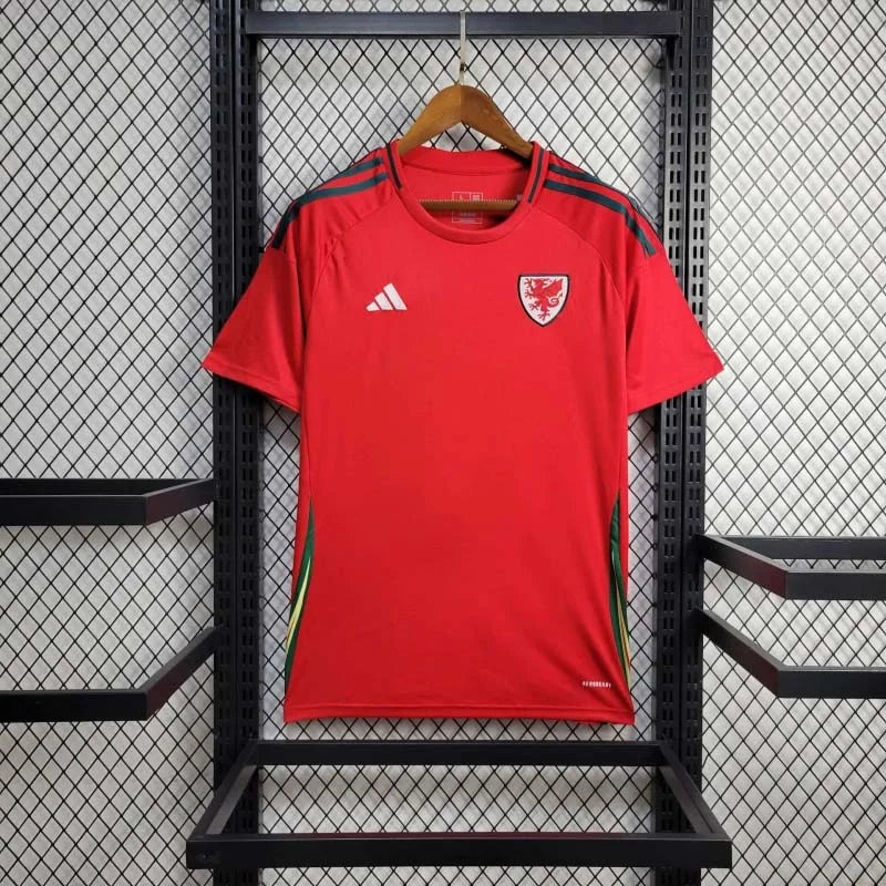 2024 Wales Home Kit