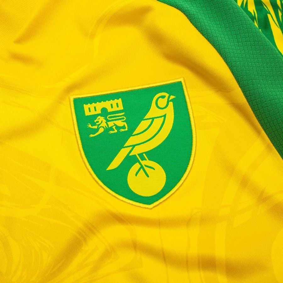 Divisa Home Norwich City 2026/2027