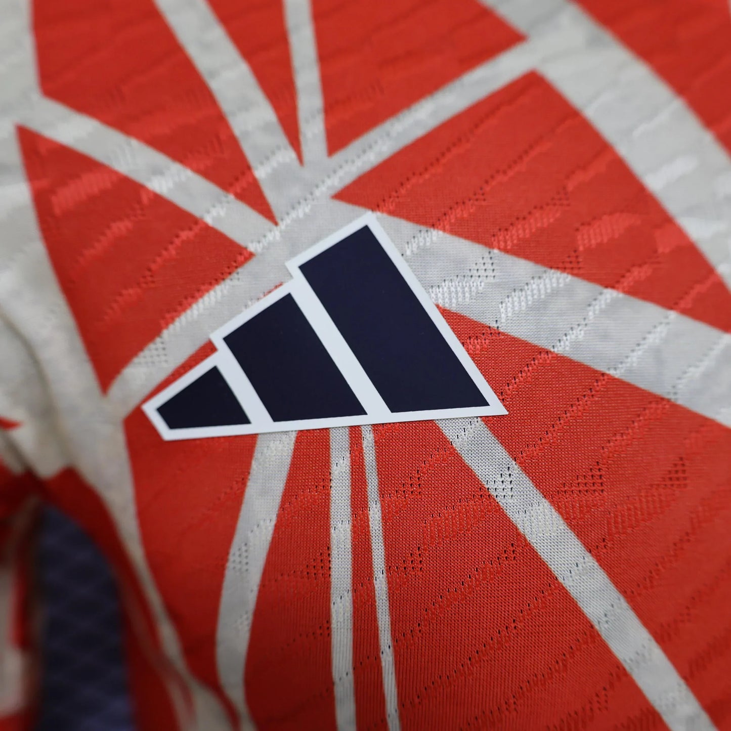 Maillot Bayern Munich "Crimson Glory" Édition Limitée