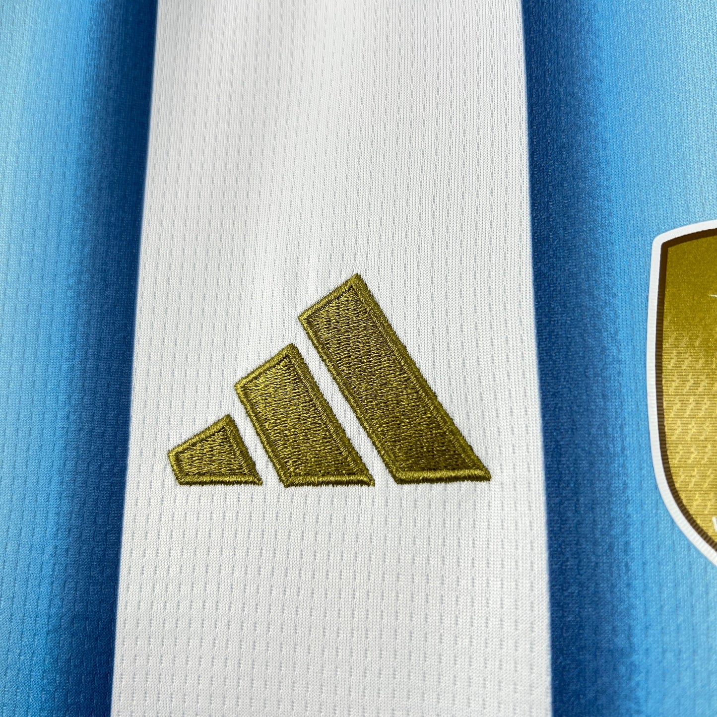 2026 Argentina Home Coppa del Mondo femminile