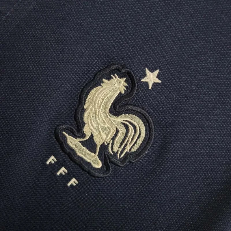 Maglia Retrò Francia 2014 per la Casa